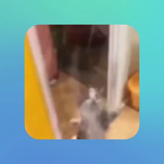 Mirror Group