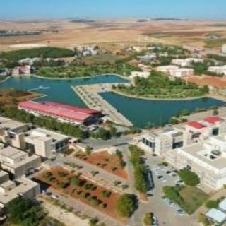 Harran üniversitesi öğrenci toplulukları