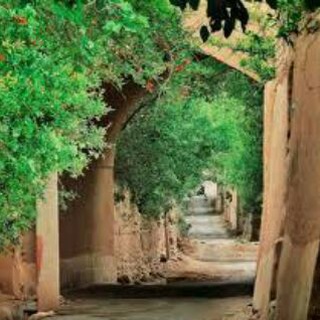کانال خبری دیار تفت