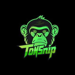 TONSnip Trading Bot