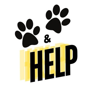 Paws&Play Support | Поддержка
