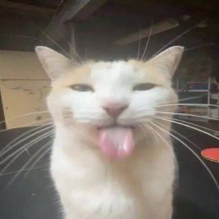 ReutQz