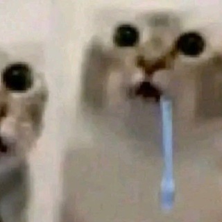 Бупа