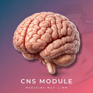CNS Module | MW