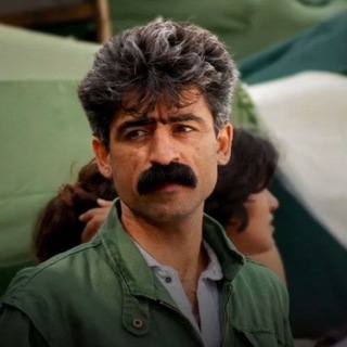 سید صلاح الدین آماده