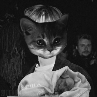 𝐂𝐋𝐈𝐌𝐒 🥀