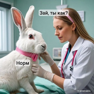 Зай, ты как? ❤️‍🩹 Море, мемы, психология, любовь 🩵