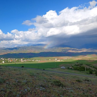 وطن دیلی