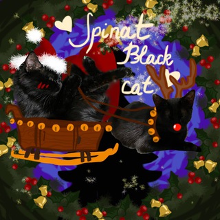 🏳️‍🌈🏳️‍⚧️❄️Shpinat black cat🎄| #УкрТґ