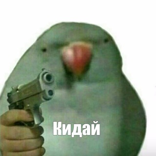 Кинуть новость в Хуёвый Донецк