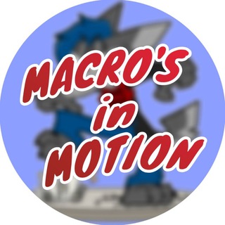MACRO'S in MOTION