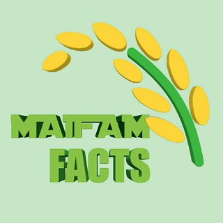 Maifam Facts