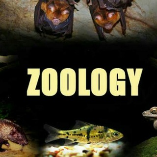 B.Sc.(Hons.) in Zoology