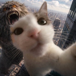 клауд