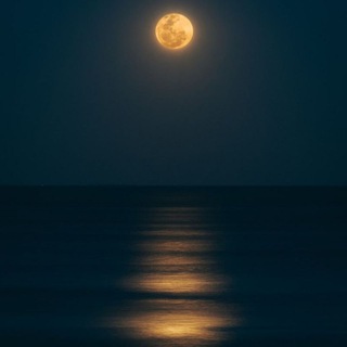 moon light