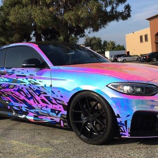 Furry Car Enthusiasts (SFW)