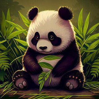 Bsc Panda Calls