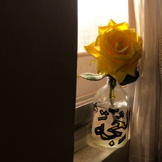 ضـــامِنَ آهو💛