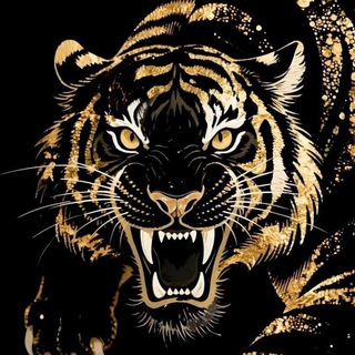 Sayem | I will never DM you first. 🐯🫧