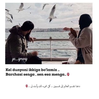 <~~~~~>