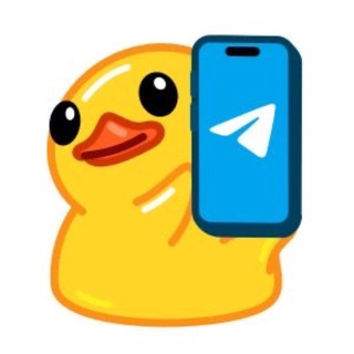 Username Holic