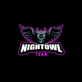 NightOwl Team