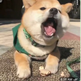 奇趣百科