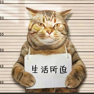 Telegram飞机代理免费分享