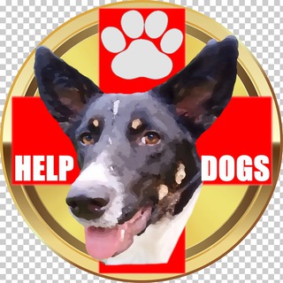 HelpDogs-Community official