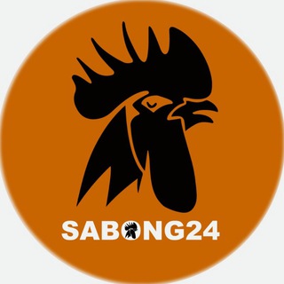 Sabong 24