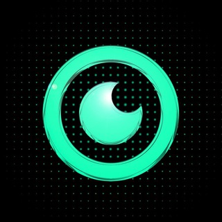 Coin Passion Insights - Chat