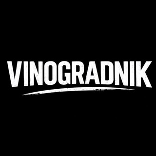 VINOGRADNIK - Чат создателей