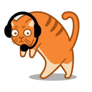 Прислать котиков