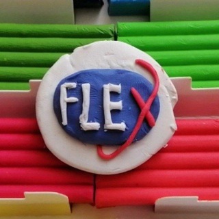 FLEX FAMILY💙