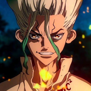 Dr Dub Series
