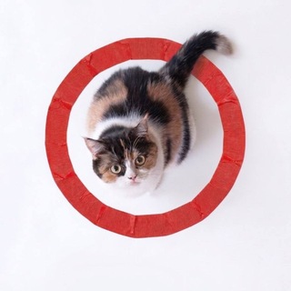 CatInCircle ($CIRCAT)