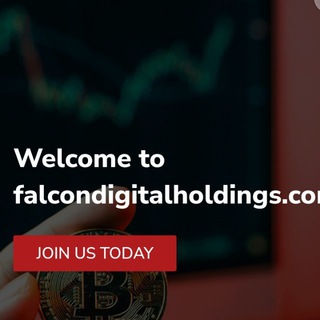 Falcon Digital Holdings