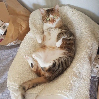 L K