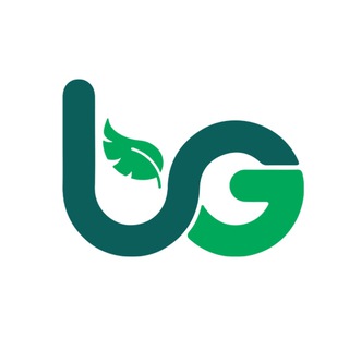 BG I GROUP