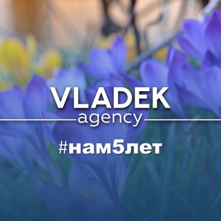 Svetlana Vladek “Vladek Agency”