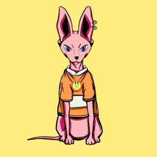 sphynx cat中文社区🇨🇳