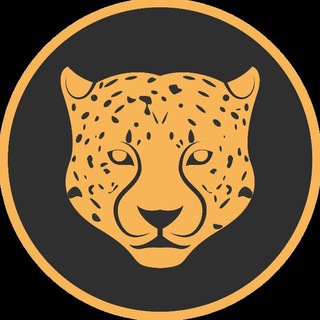 KITTY KAT COMMUNITY