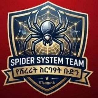 SPIDER SYSTEM TEAM