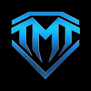 THE MONEY TEAM