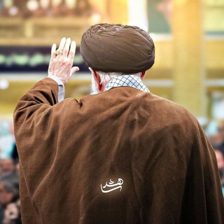 شــــــاهــد³¹³