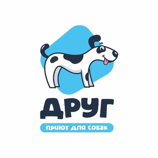 Приют «Друг», Спб