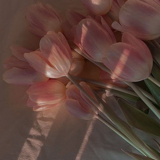 конкурсы от 𝙵𝙰𝙸 💗