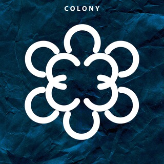 Hip Hop Colony🎤