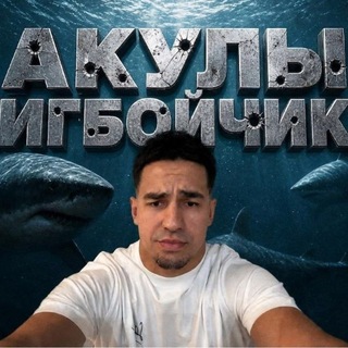 🦈АКУЛЫ БИГБОЙЧИКА🦈
