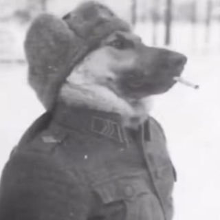 Никитос